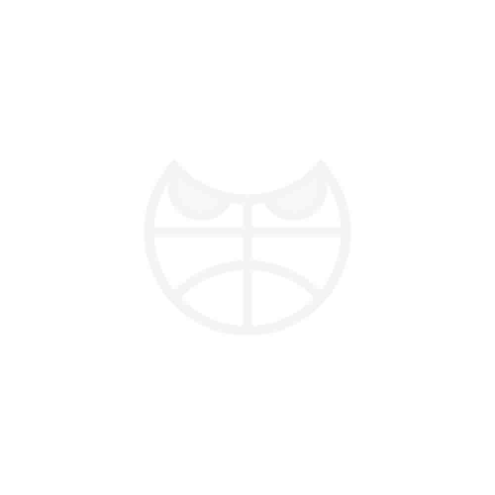 Мужские баскетбольные шорты Nike Dri-FIT DNA 3.0 DA5844-345