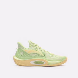 Мужские баскетбольные кроссовки Li-Ning Sonic XI ABAT021-6F