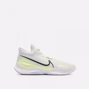 Мужские баскетбольные кроссовки Nike Renew Elevate III DD9304-300