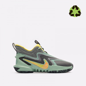 Мужские баскетбольные кроссовки Nike Cosmic Unity 2 EP DH1536-300