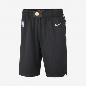 Мужские шорты Nike НБА Swingman Raptors City Edition BV5888-010